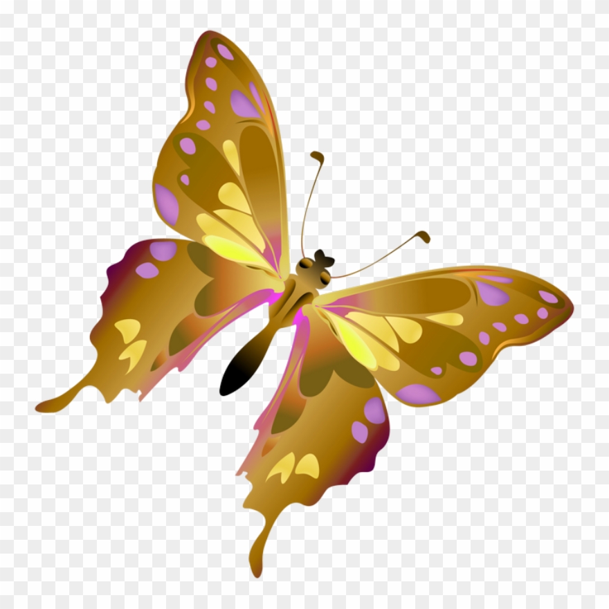 Dragonfly - Adesivo De Parede Borboleta Clipart