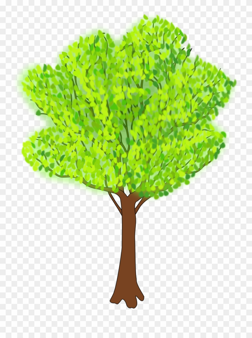 Clipart Tree Summer Season - Clip Art Summer Tree - Png Download