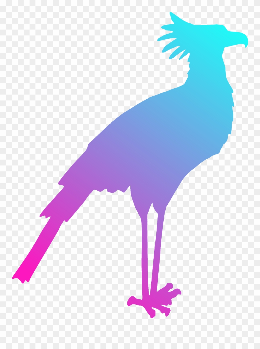 Bird Gulls Silhouette Drawing Art - Secretary Bird Silhouette Clipart