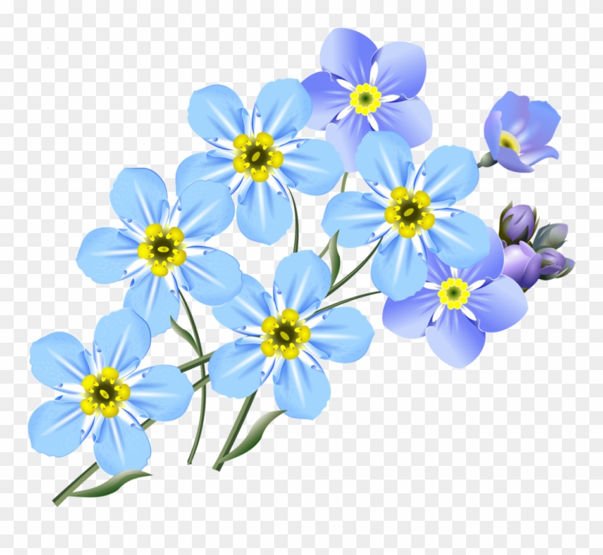More Images Of Forget Me Not Clip Art Free - Forget Me Nots Drawing - Png Download