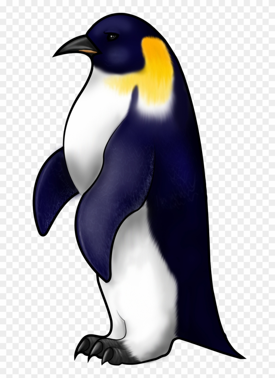 Drawing At Getdrawings Com Free For Personal - Outline Of An Emperor Penguin Clipart