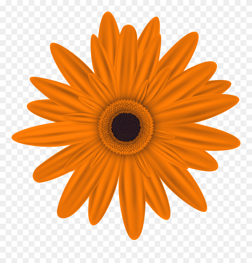 0, - Glasheen Girls School Clipart