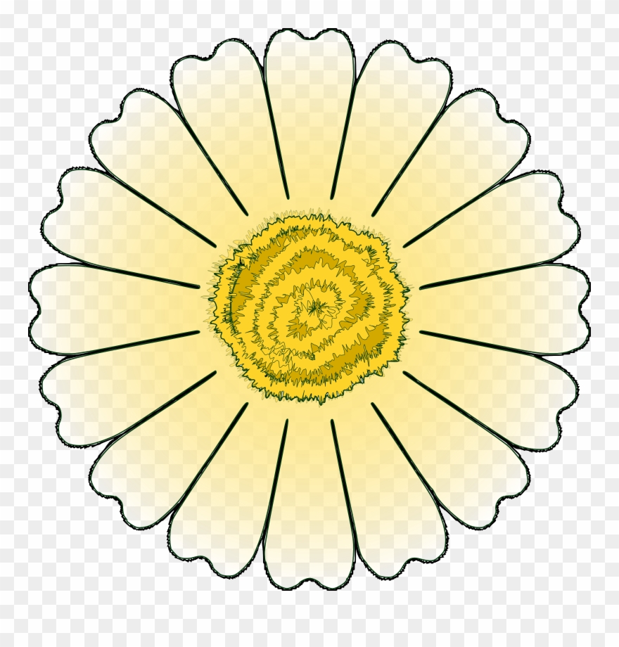 Daisy Clipart Daisy Petal - Flower Outlines - Png Download