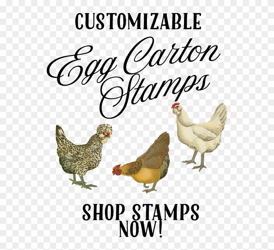 Add To Cart - Chicken Clipart
