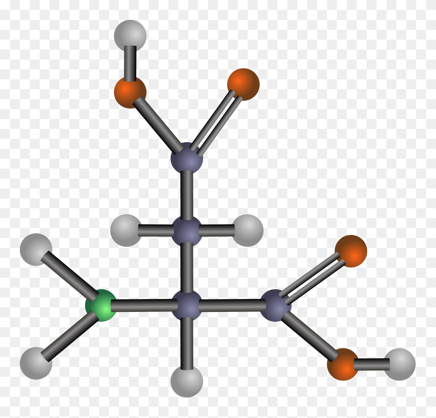 Amino Acid Amine Tyrosine Methionine - Amino Acids: Biochemistry And Applications Clipart