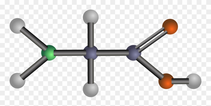 Big Image - Amino Acids: Biochemistry And Applications Clipart