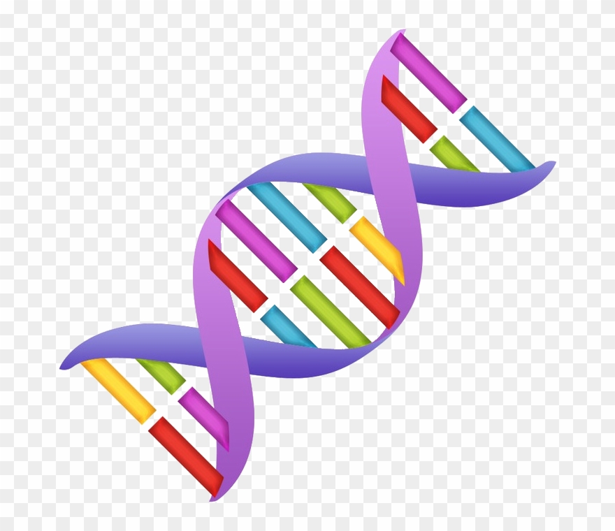 Dna Clipart Nucleic Acid - Science Clipart - Png Download