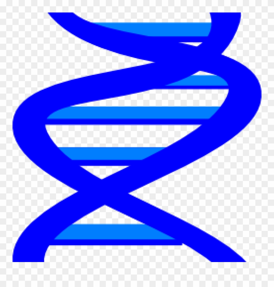 Dna Clip Art Dna Clip Art At Clker Vector Clip Art - Clip Art - Png Download