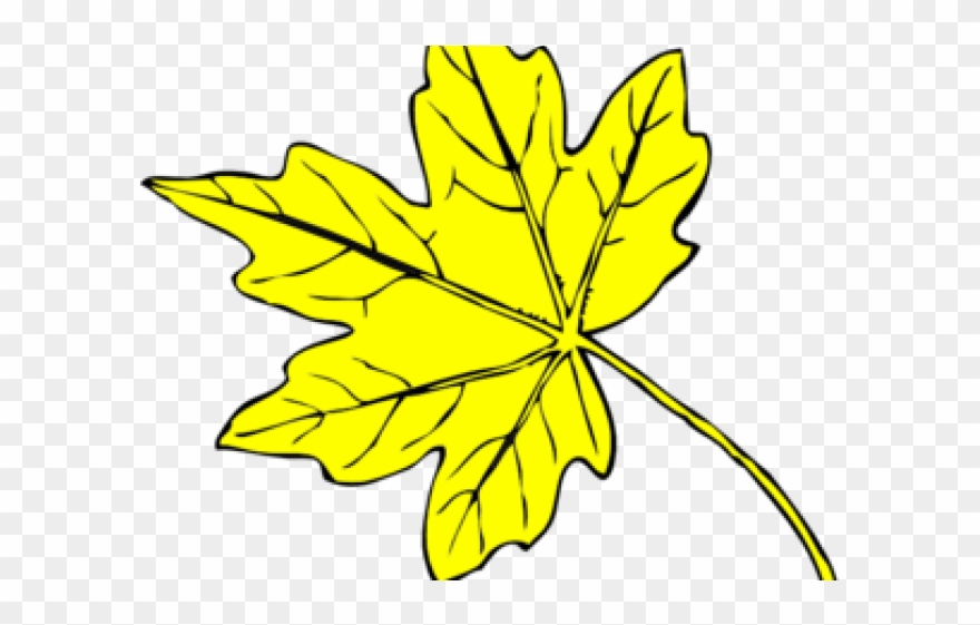 Yellow Flower Clipart Leave Clipart - Line Drawing Maple Leaf - Png Download