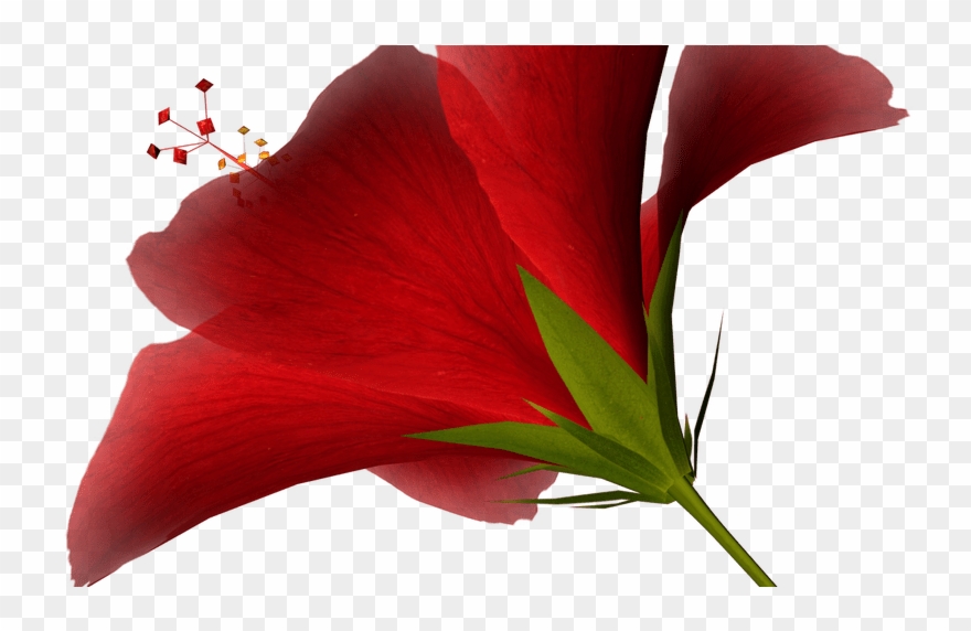 Interesting Ideas Free Clip Art High Resolution Photos - Clip Art - Png Download