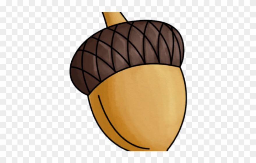 Cartoon Acorn Clipart