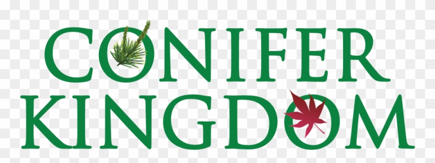 Search - Beachcomber Hot Tubs Logo Clipart