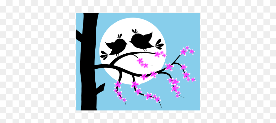 All Photo Png Clipart - Clip Art Transparent Png