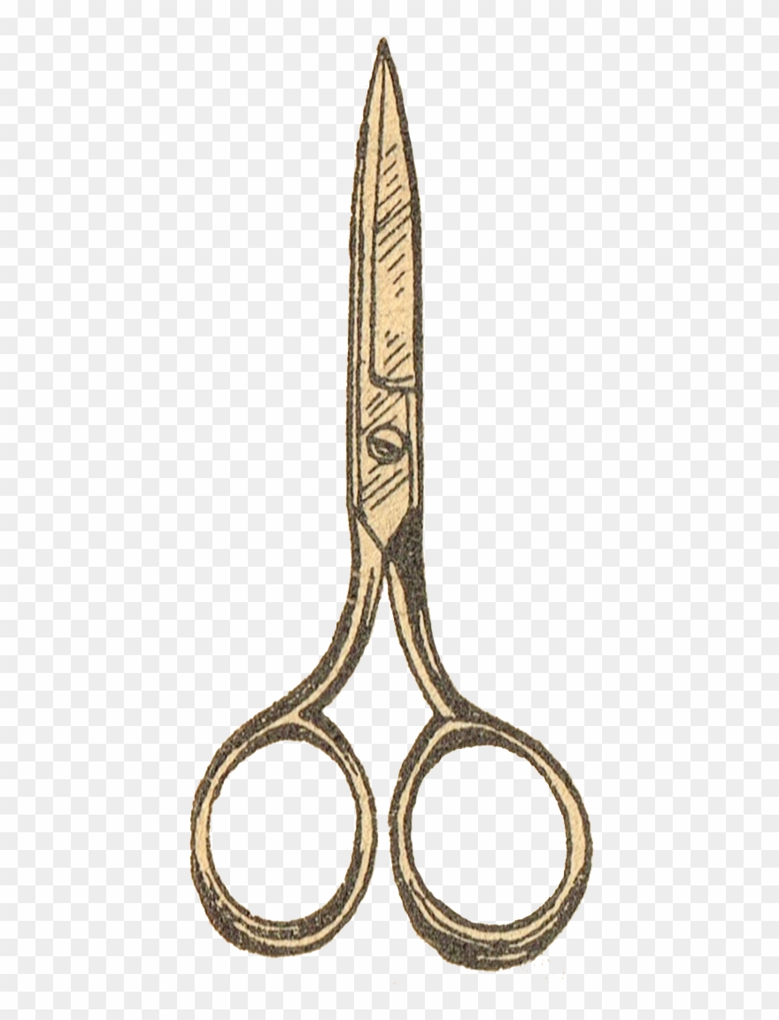 Antique Graphics Wednesday - Sewing Scissors Clip Art - Png Download