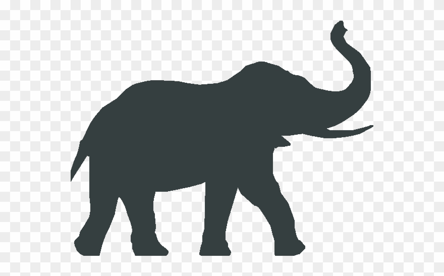 Elephant Guest House Westport Centre Accommodation - Elephant Logo Clipart