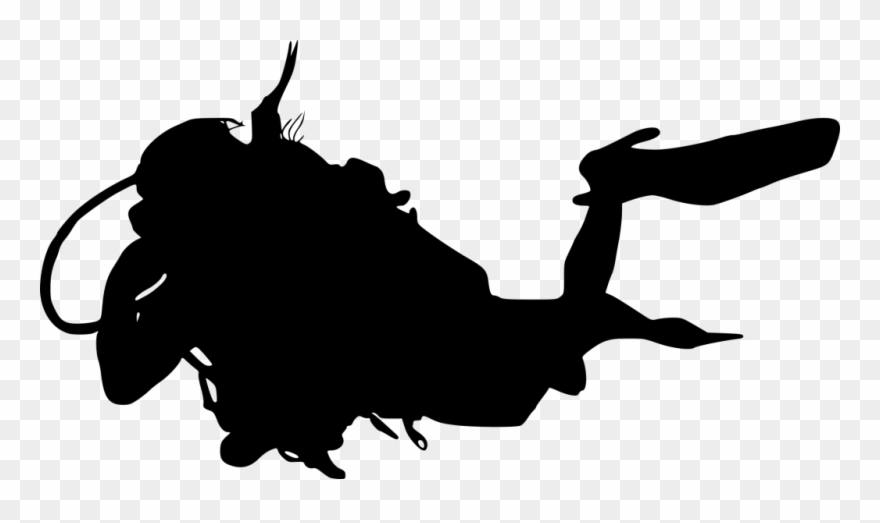 2000 × 1100 Px - Illustration Clipart