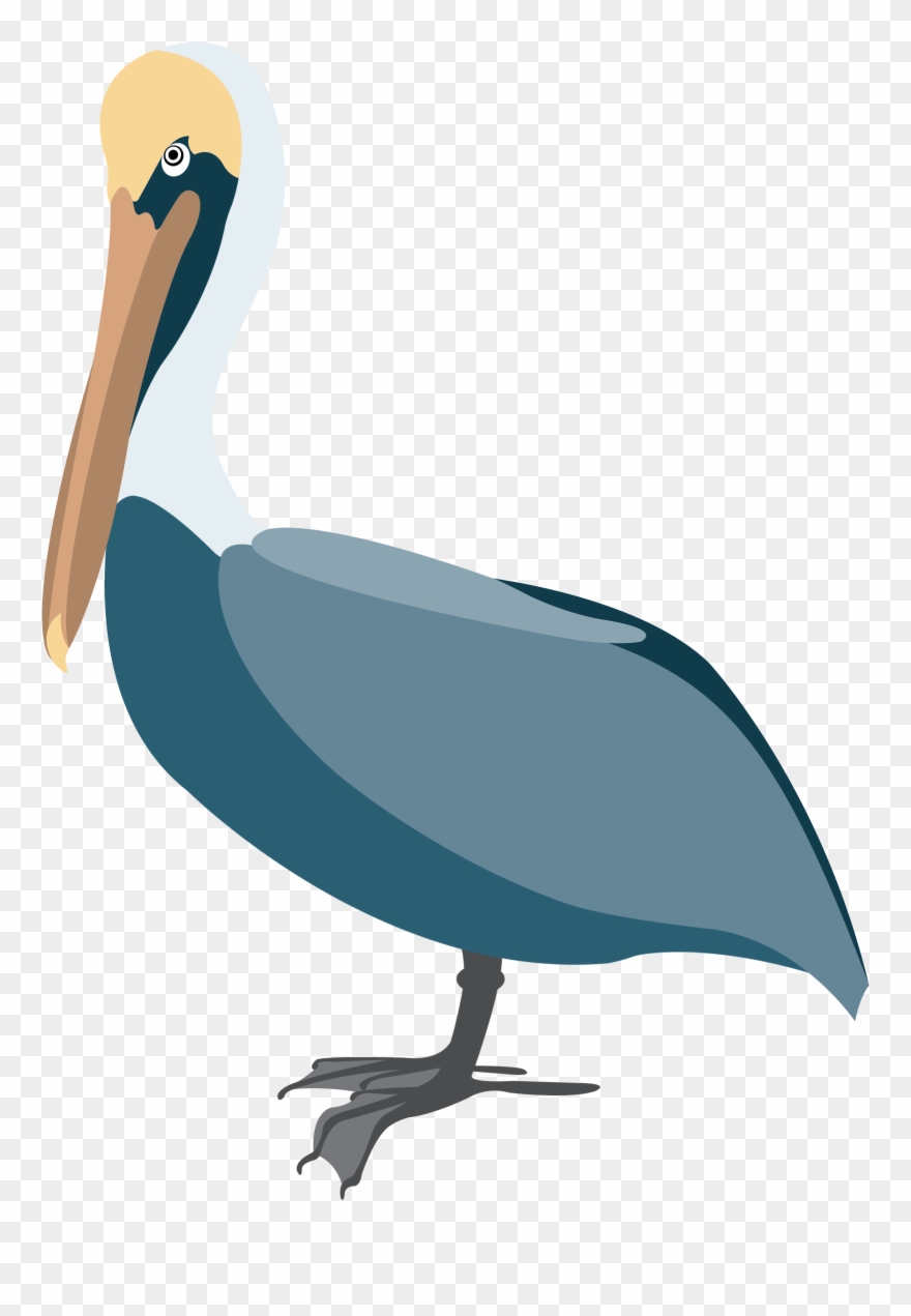 Pelican Vector Clip Art - New Orleans - Png Download