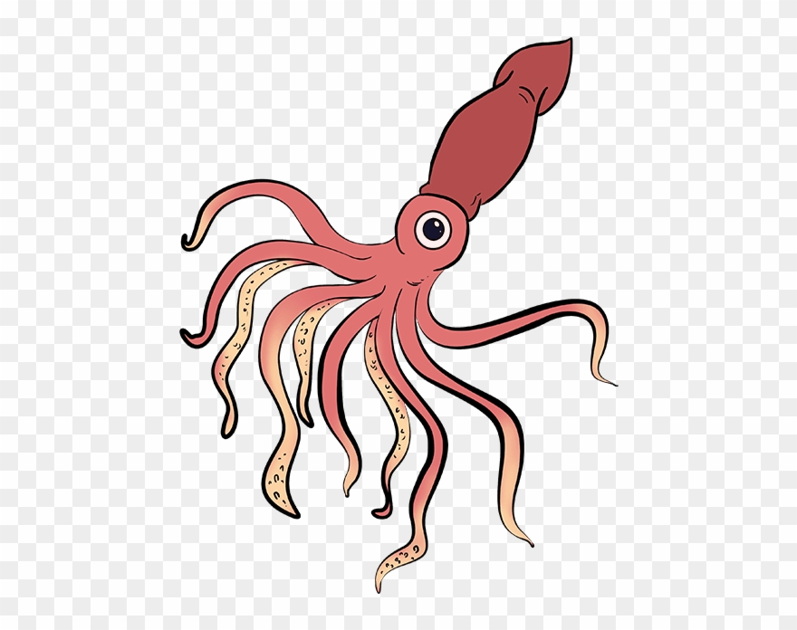 How To Draw Squid - Drawing Clipart