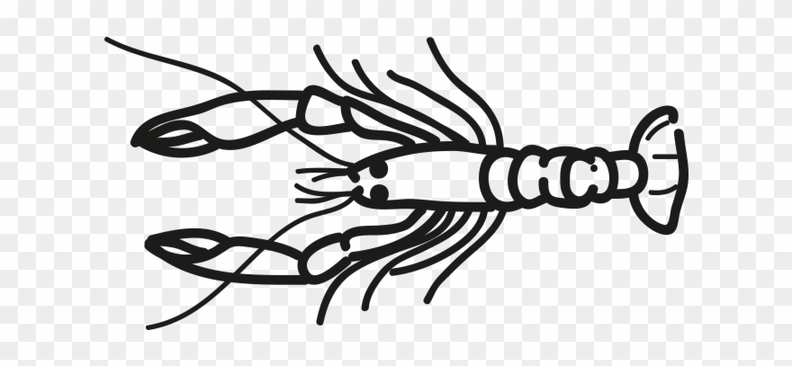 Project Description - Norway Lobster Clipart