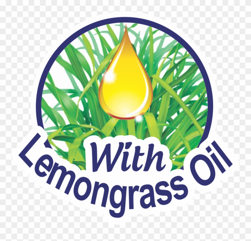 Pitambari Antibacterial Dishwash Bar 700g Tub - Antibiotics Clipart