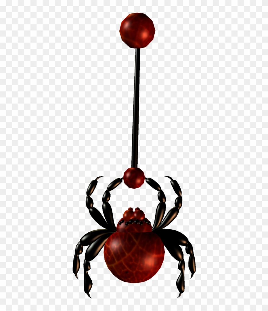 Insect Clipart