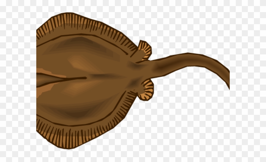 Stingray Clipart Angry - Stingray - Png Download