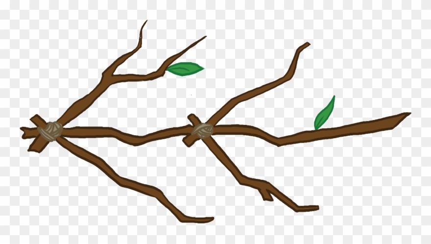 Swamp Tea Updates On Thursdays - Twig Clipart