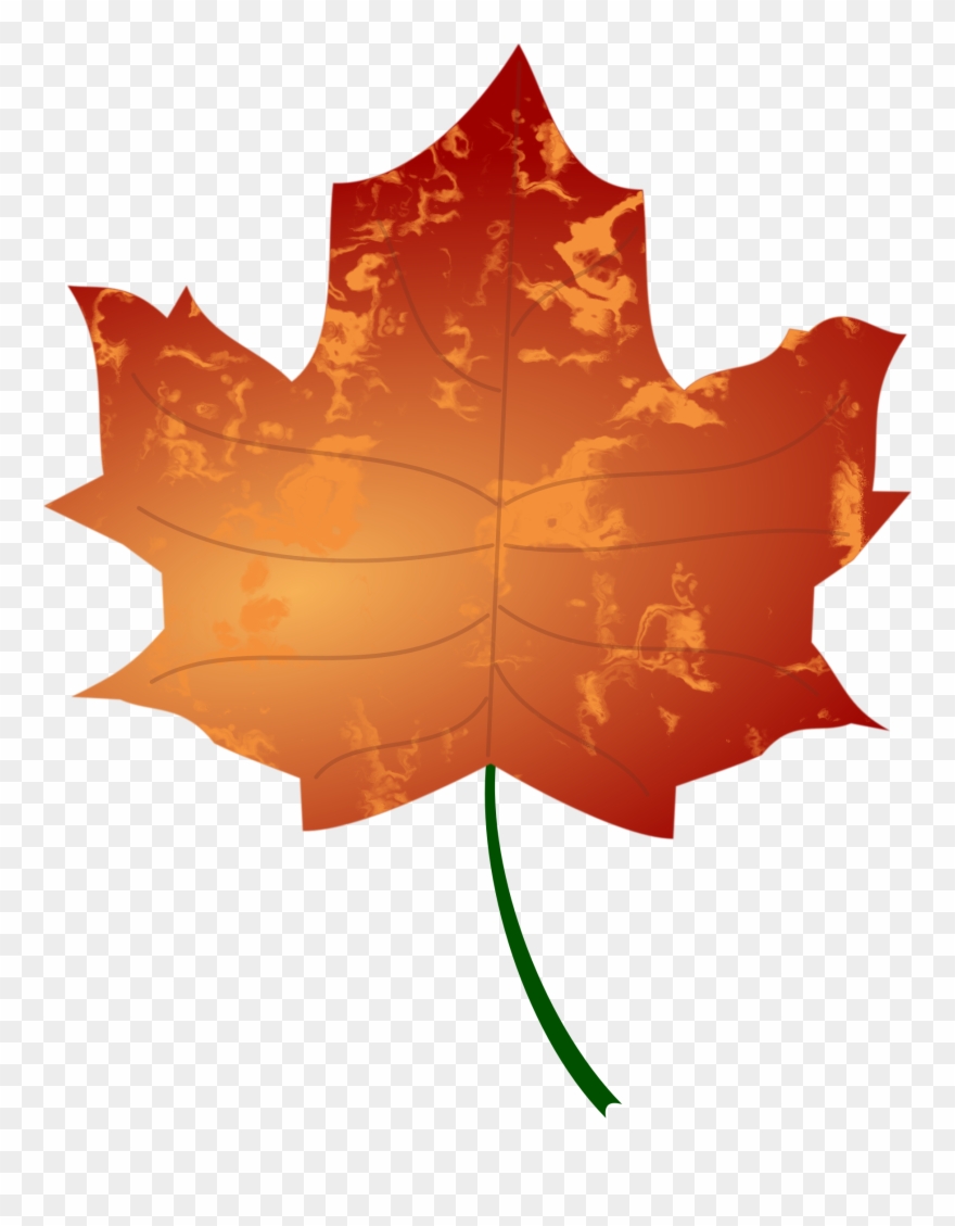 Autumn Leaf Big Image Png - Autumn Leaf Vector Png Clipart