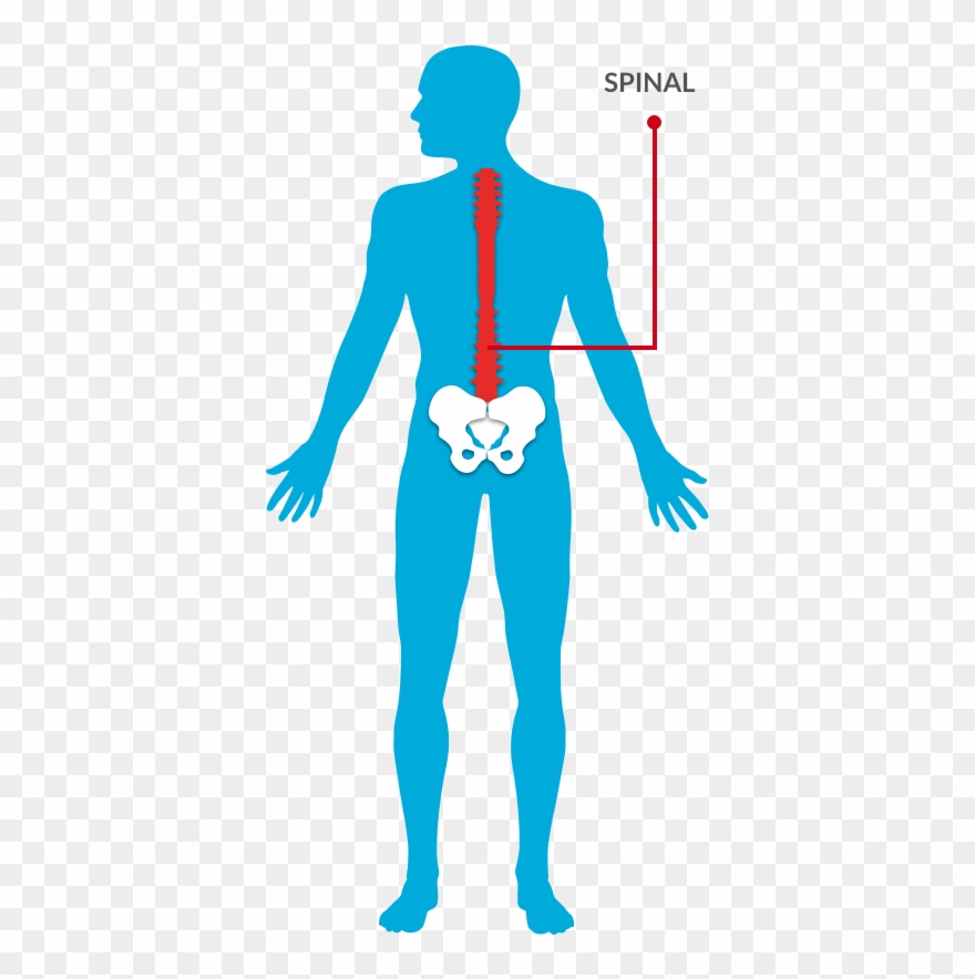 Find A Doctor And Make An Appointment - Surgery Clipart