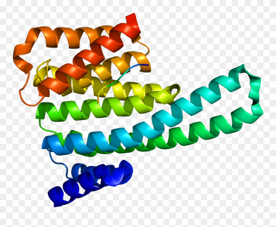 Keratin Pdb Clipart