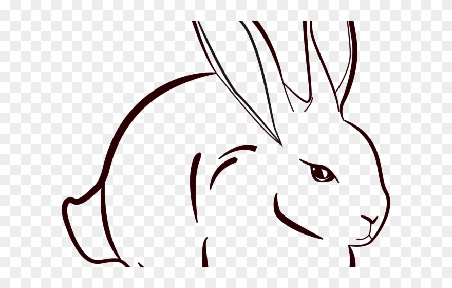 Drawn Bunny Khargosh - Rabbit Images Line Art Clipart