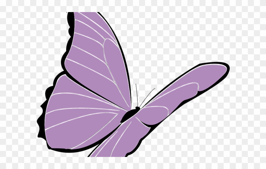 Lavender Clipart Butterfly - Schmetterling Clipart - Png Download
