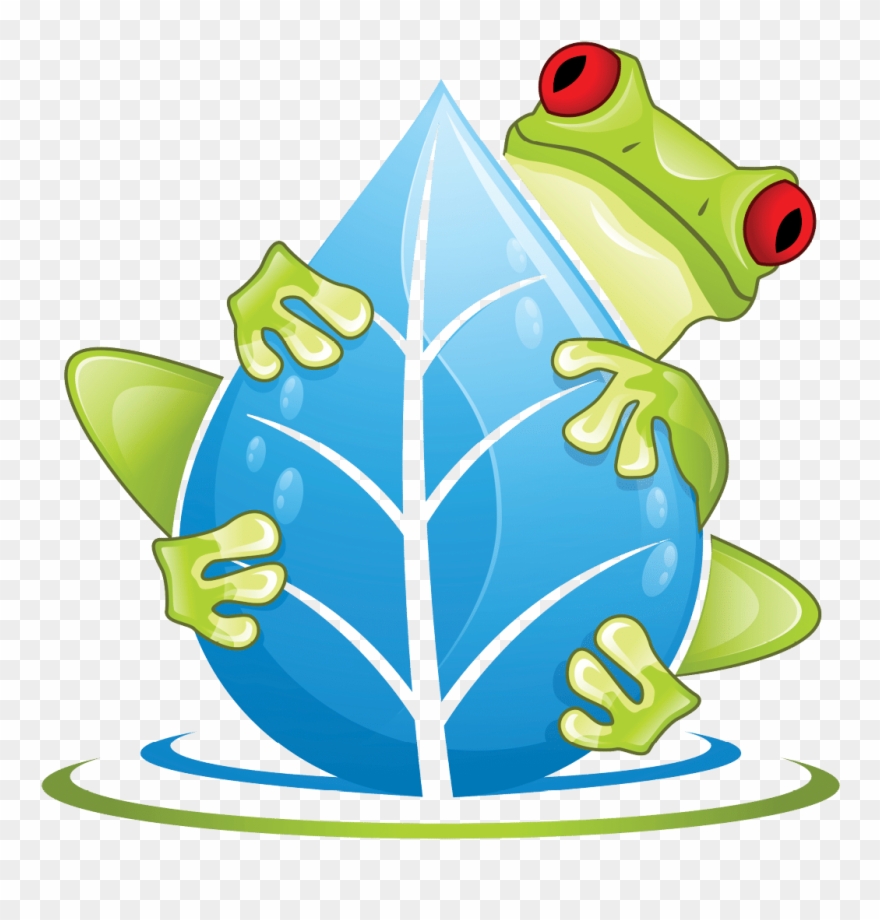 Frog Falling Down Png Clipart