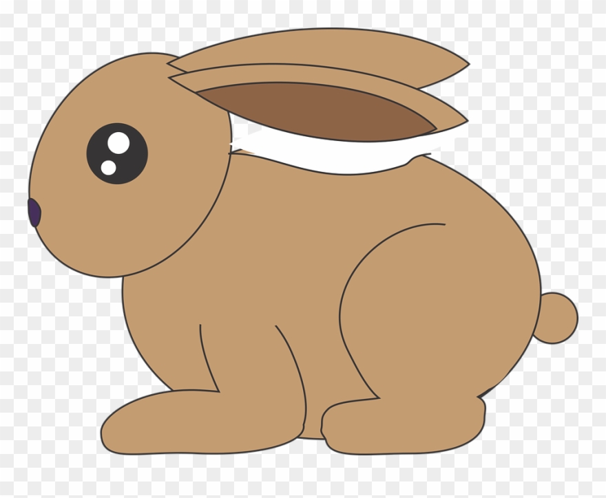 Rabbit Clipart Kelinci - Eratosthenes Map - Png Download