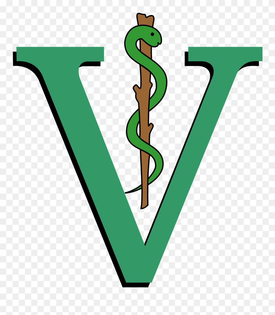 Michigan State University College Of Veterinary Medicine - Veterinary Medicine Clipart