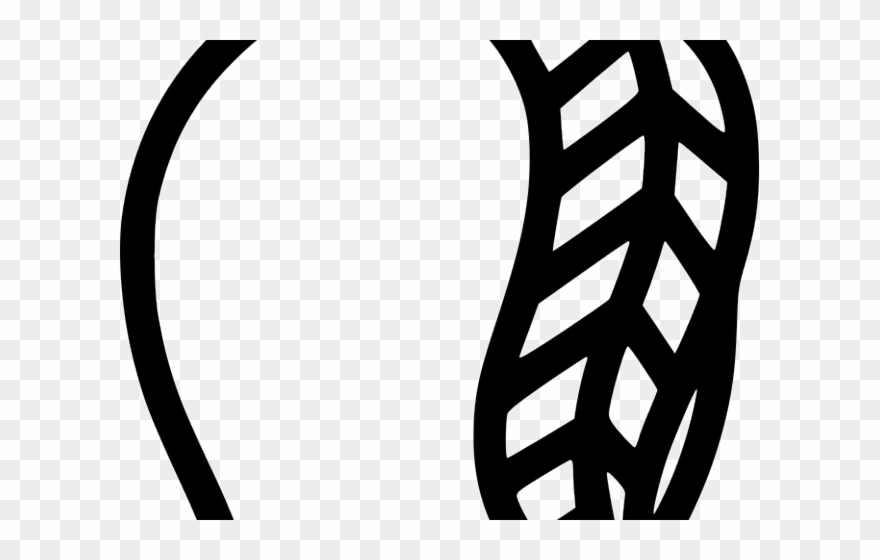 Mango Clipart Individual Fruit - Line Drawing Of Mango - Png Download