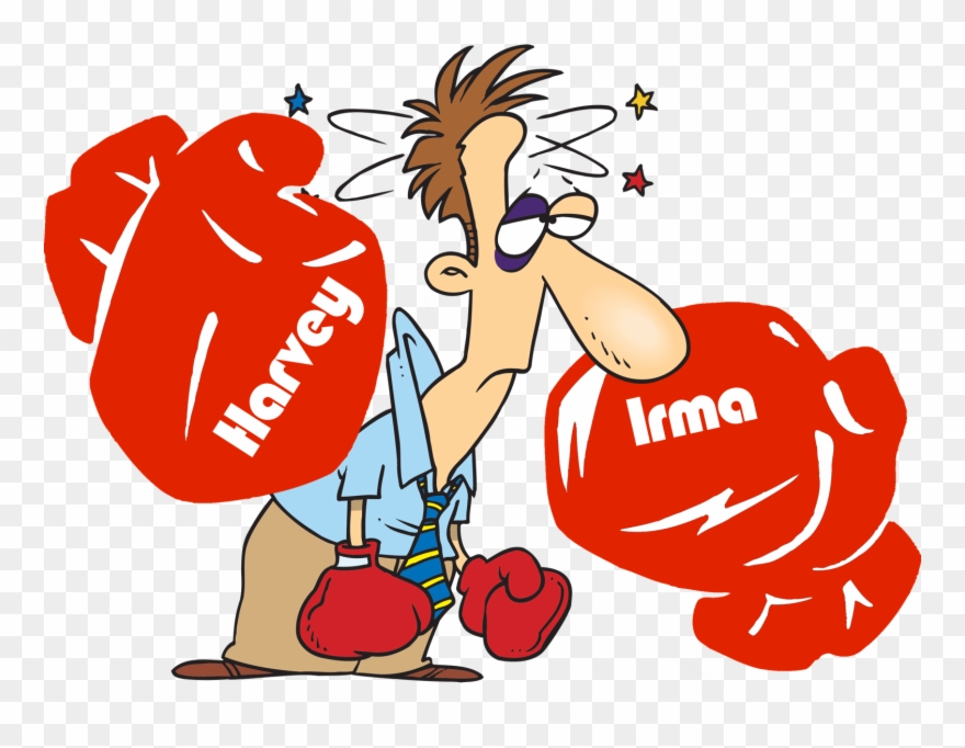 Cartoon Seeing Stars Clipart