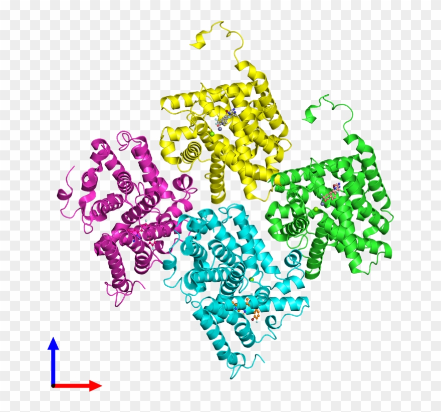Pdb 5tzz Coloured By Chain And Viewed From The Front Clipart