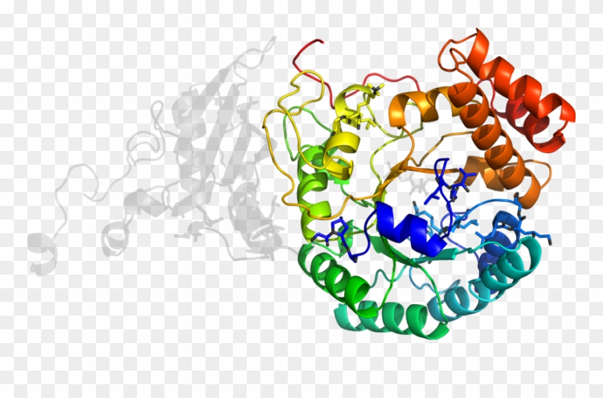 D5n9ze2 In Context Of Chain - Illustration Clipart