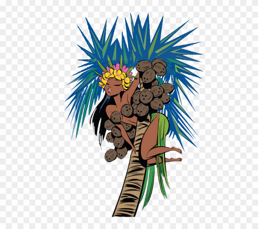 Coconuts - Illustration Clipart