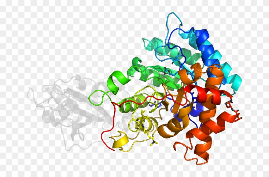 D5oyaf2 In Context Of Chain Clipart
