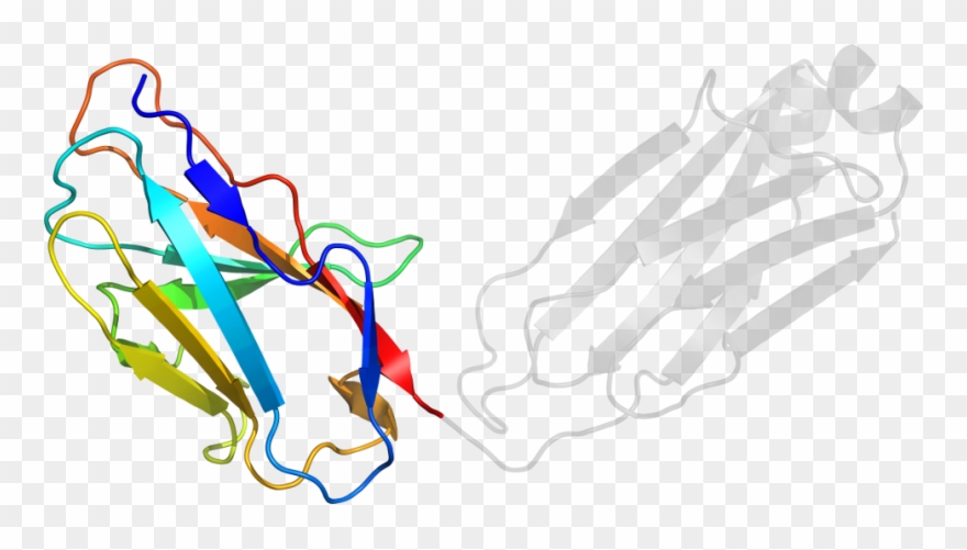 D1a6tc1 In Context Of Chain - .com Clipart