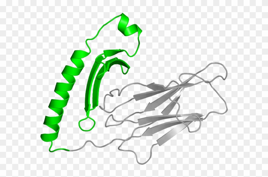 <div Class='caption-body'>1 Copy Of Cath Domain - Illustration Clipart