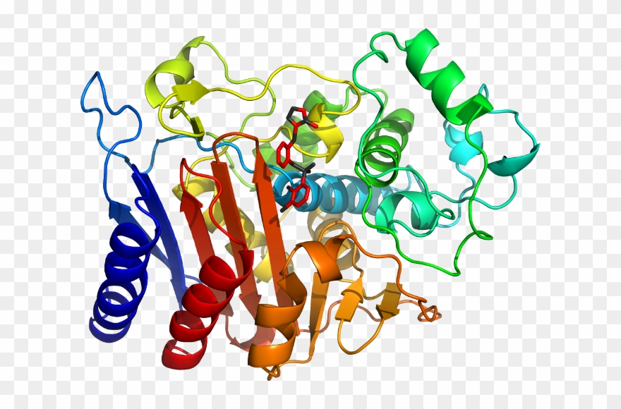 D6dptb In Context Of Chain - Graphic Design Clipart