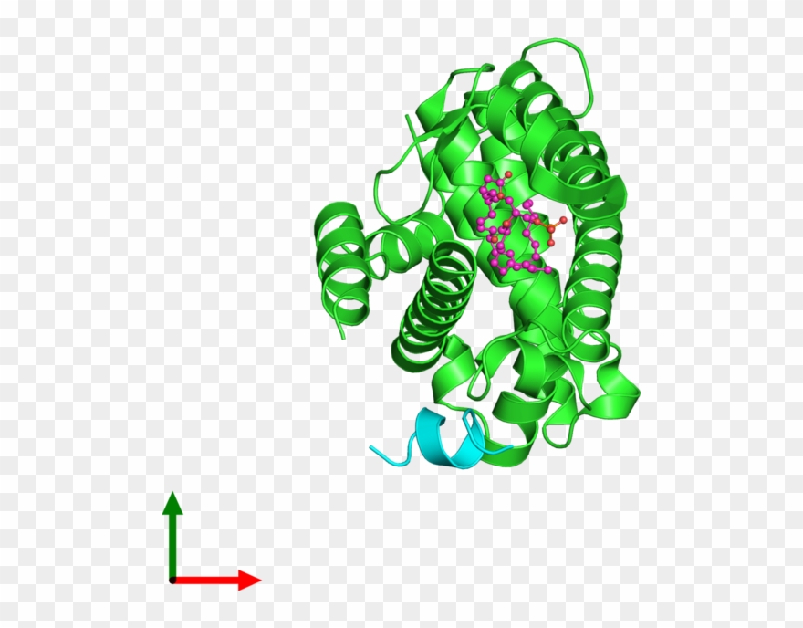 Protein Data Bank Clipart