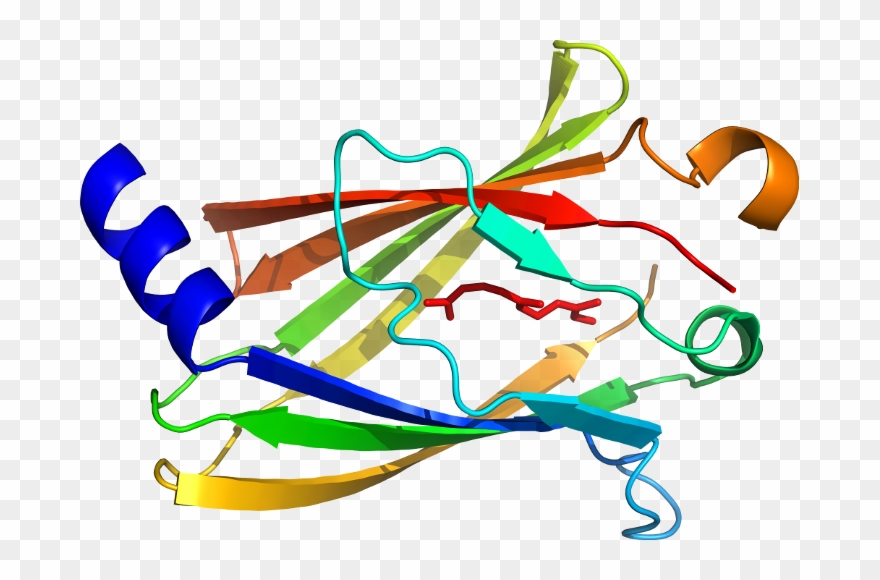 D1lsha1 In Context Of Chain Clipart