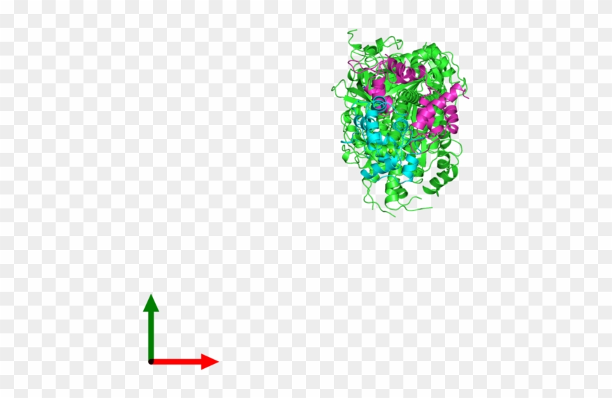 Illustration Clipart