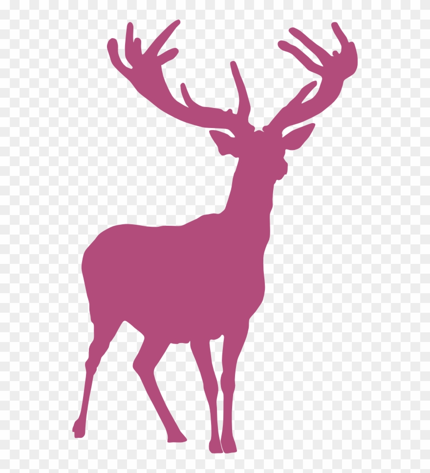 The Hammock Is Available For Anyone Who Has Already - Elk Clipart