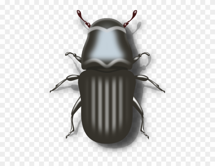 Clip Art At Clker Com Vector Online - Mountain Pine Beetle Cartoon - Png Download