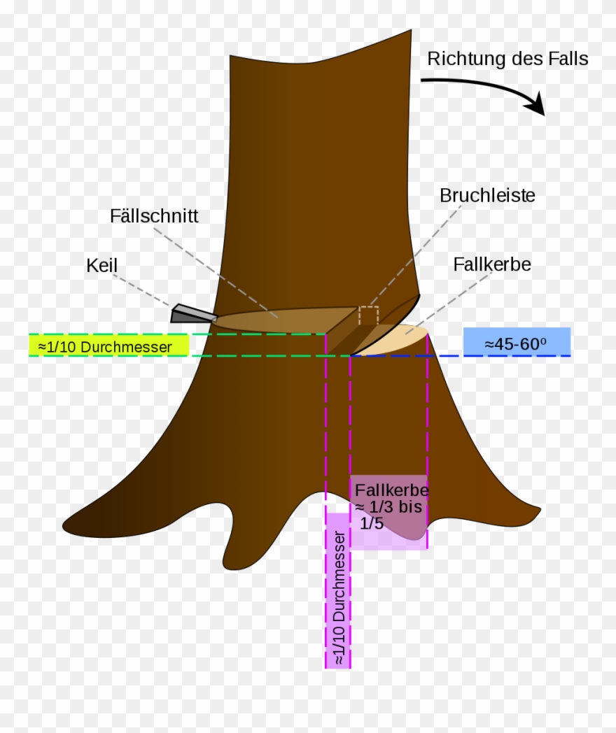 Open - Cut A Tree With A Chainsaw Clipart